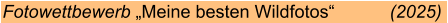 Fotowettbewerb „Meine besten Wildfotos“           (2025)